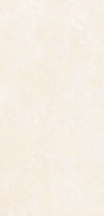 OL Marfil Matte 12 x 24